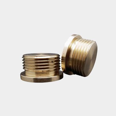 OEM حسب الطلب غير القياسية النحاس خرطوم المسامير محار CNC تحويل الدوارة الدقة معالجة قطع الخدمة